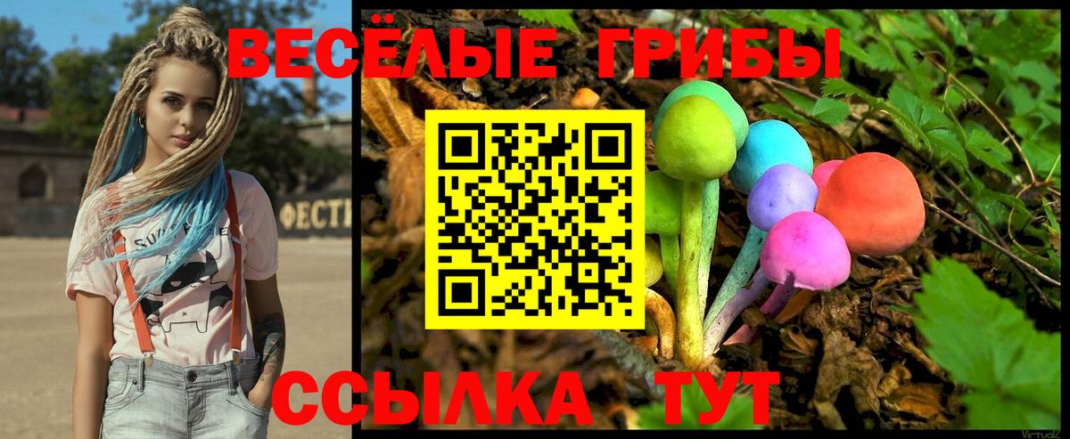 Псилоцибиновые грибы мухоморы Гусиноозёрск